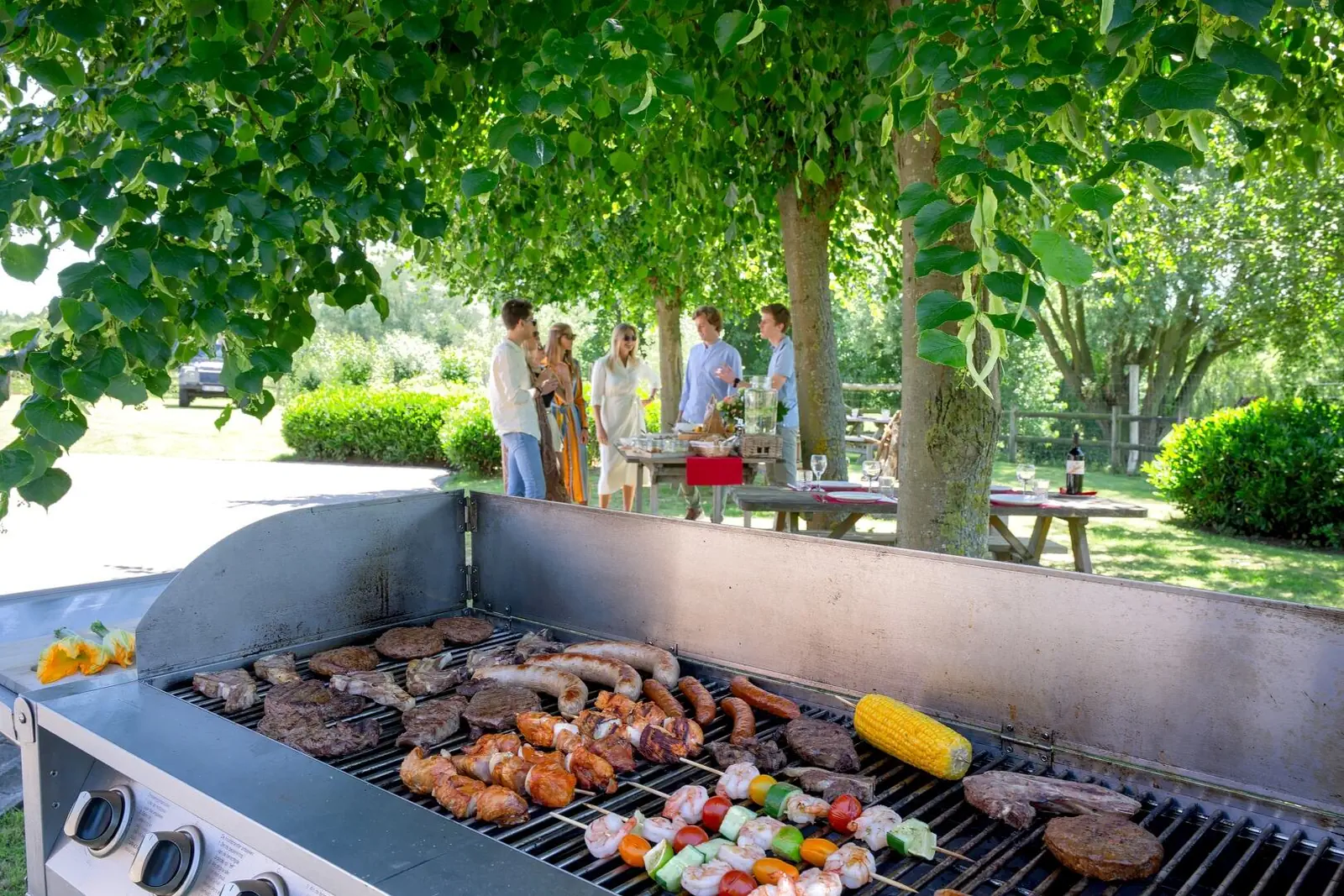 Outdoor barbecue under the trees