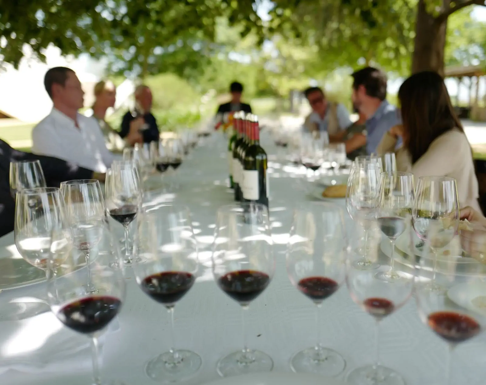 Wine tasting around a long outdoor table