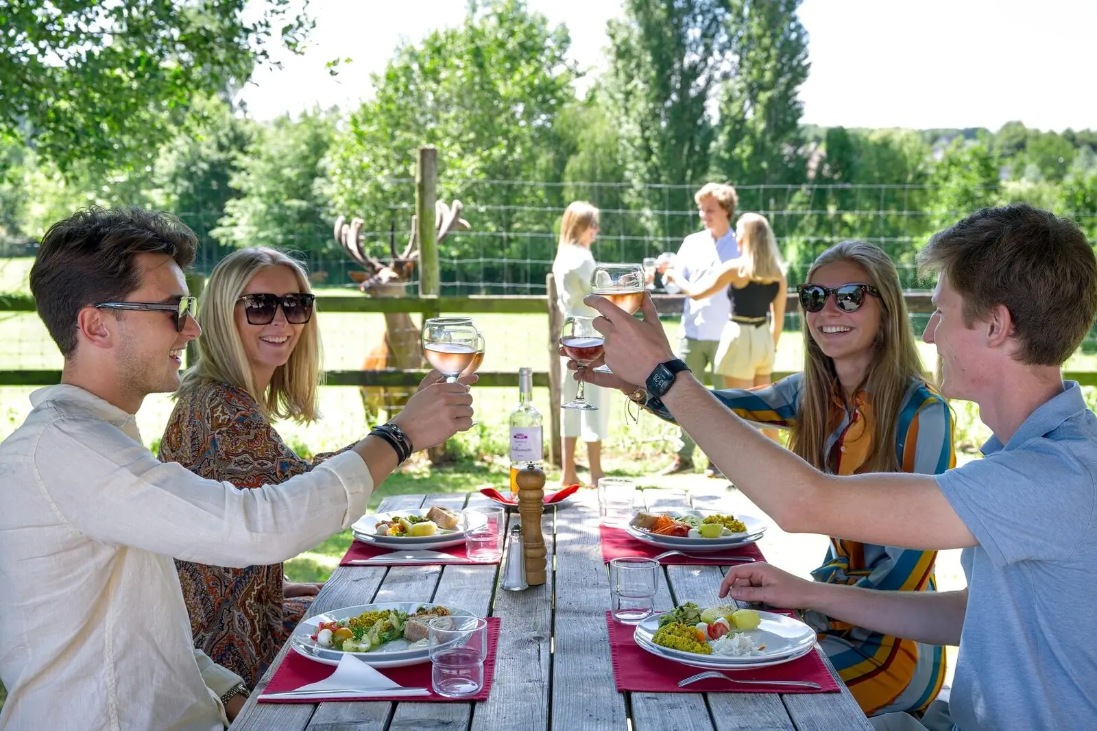 Colleagues raising a glass around a table set in the garden